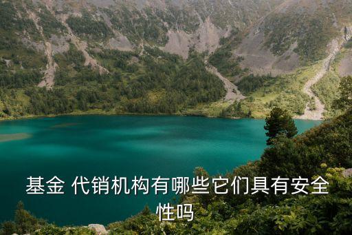  基金 代銷機構有哪些它們具有安全性嗎