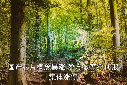 國產(chǎn)芯片概念暴漲 盈方微等約10股集體漲停