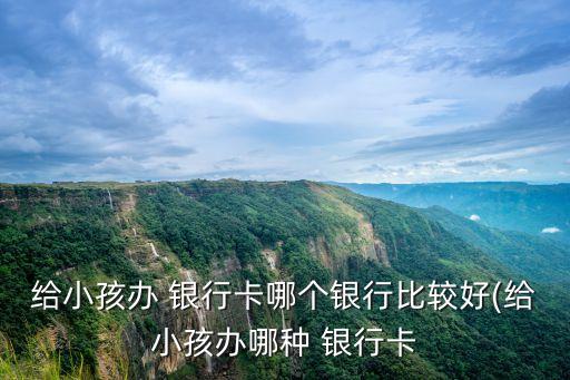 給小孩辦 銀行卡哪個(gè)銀行比較好(給小孩辦哪種 銀行卡