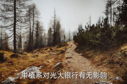  中植系對(duì)光大銀行有無(wú)影響