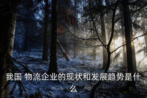 我國(guó) 物流企業(yè)的現(xiàn)狀和發(fā)展趨勢(shì)是什么