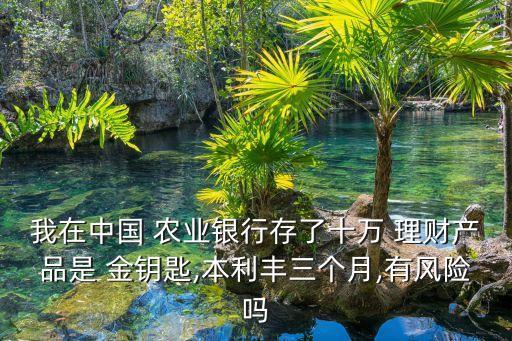我在中國 農(nóng)業(yè)銀行存了十萬 理財產(chǎn)品是 金鑰匙,本利豐三個月,有風(fēng)險嗎