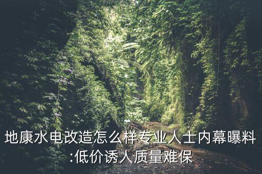 地康水電改造怎么樣專業(yè)人士內(nèi)幕曝料:低價誘人質(zhì)量難保