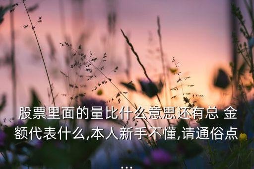 股票里面的量比什么意思還有總 金額代表什么,本人新手不懂,請(qǐng)通俗點(diǎn)...