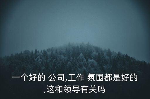 一個好的 公司,工作 氛圍都是好的,這和領(lǐng)導有關(guān)嗎