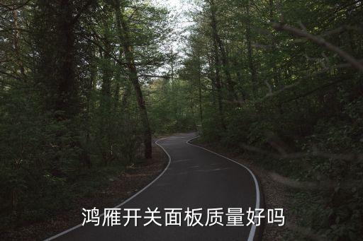  鴻雁開關面板質量好嗎