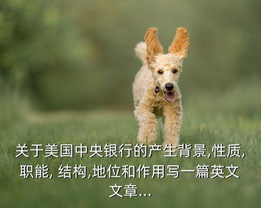 花旗銀行治理結(jié)構(gòu)