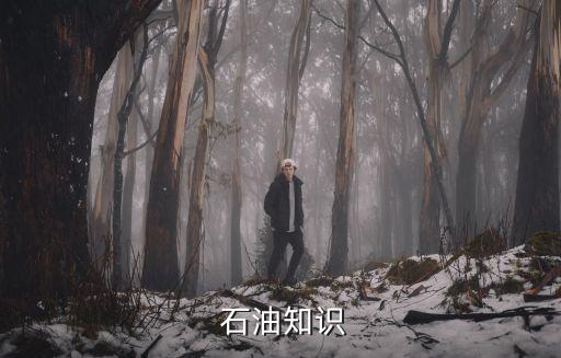 中國的石油靠進(jìn)口,中國石油是靠進(jìn)口還是自產(chǎn)