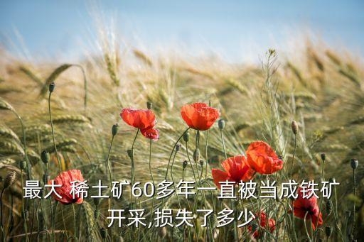 最大 稀土礦60多年一直被當成鐵礦開采,損失了多少