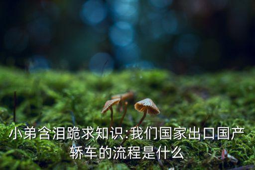小弟含淚跪求知識(shí):我們國家出口國產(chǎn)轎車的流程是什么
