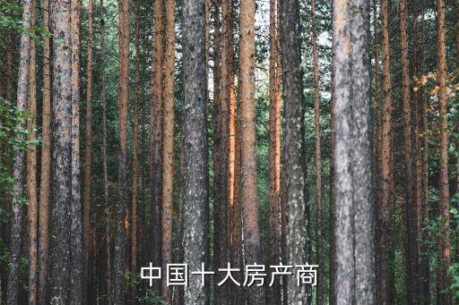 中國(guó)十大房產(chǎn)商