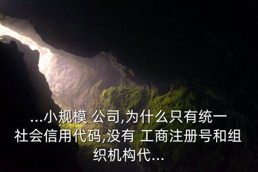 ...小規(guī)模 公司,為什么只有統(tǒng)一社會(huì)信用代碼,沒有 工商注冊(cè)號(hào)和組織機(jī)構(gòu)代...