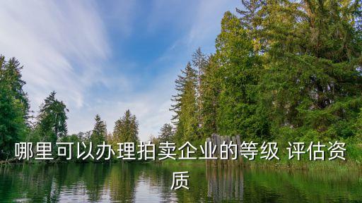 哪里可以辦理拍賣企業(yè)的等級 評估資質