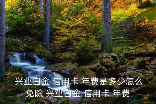  興業(yè)白金 信用卡 年費是多少怎么免除 興業(yè)白金 信用卡 年費