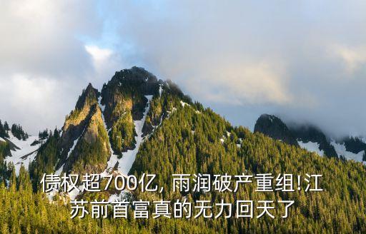 債權(quán)超700億, 雨潤破產(chǎn)重組!江蘇前首富真的無力回天了