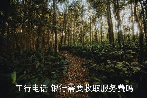  工行電話 銀行需要收取服務(wù)費(fèi)嗎