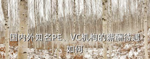 國(guó)內(nèi)外知名PE、VC機(jī)構(gòu)的薪酬待遇如何