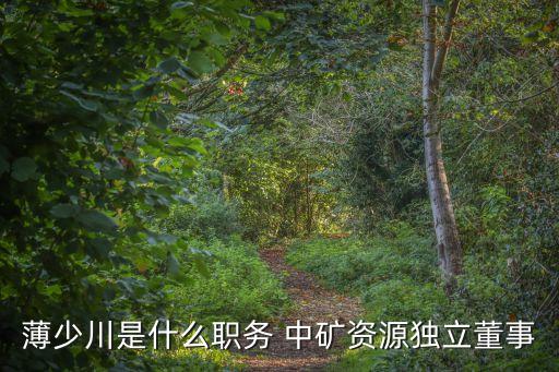薄少川是什么職務(wù) 中礦資源獨(dú)立董事