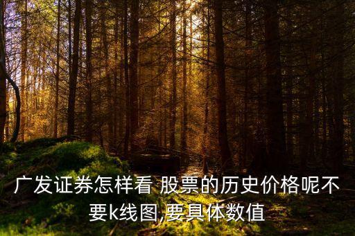 廣發(fā)證券怎樣看 股票的歷史價(jià)格呢不要k線圖,要具體數(shù)值