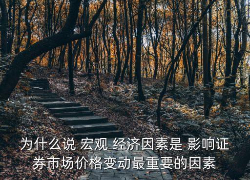 宏觀經(jīng)濟對股票影響,股票的宏觀經(jīng)濟分析怎么寫