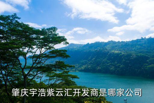 肇慶宇浩紫云匯開(kāi)發(fā)商是哪家公司
