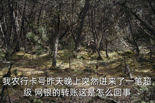 我農(nóng)行卡號昨天晚上突然進來了一筆超級 網(wǎng)銀的轉(zhuǎn)賬這是怎么回事
