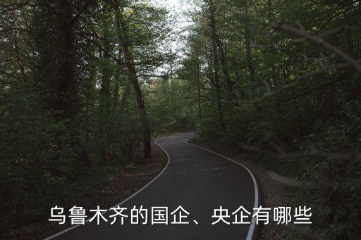 烏魯木齊的國企、央企有哪些