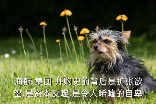  海航 集團(tuán) 并購(gòu)史的背后是擴(kuò)張欲望,是資本反噬,是令人唏噓的自卑