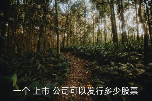 一個(gè) 上市 公司可以發(fā)行多少股票