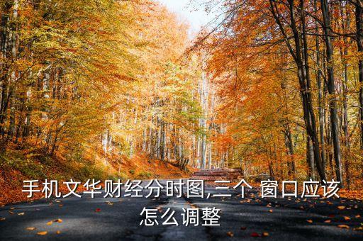 手機文華財經(jīng)分時圖,三個 窗口應該怎么調(diào)整