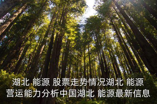 湖北 能源 股票走勢情況湖北 能源營運(yùn)能力分析中國湖北 能源最新信息