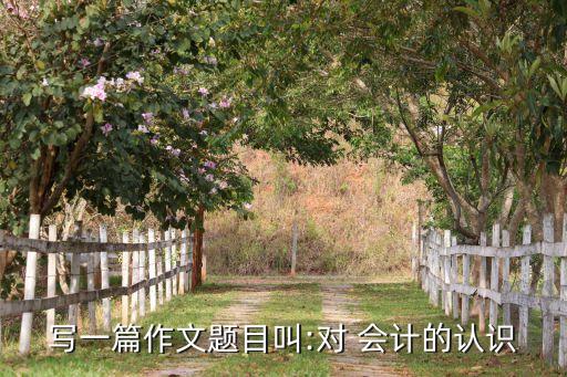 寫一篇作文題目叫:對(duì) 會(huì)計(jì)的認(rèn)識(shí)