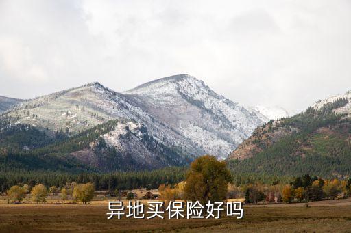 如果一家保險(xiǎn)公司今年賣了