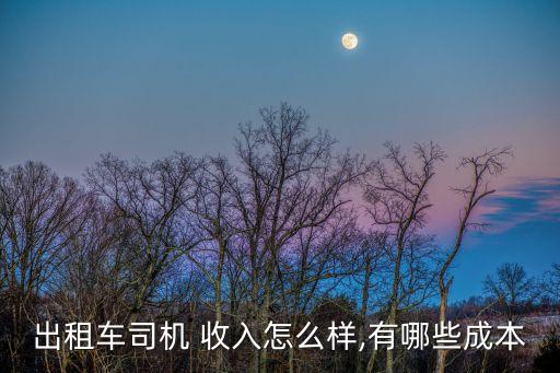 出租車司機 收入怎么樣,有哪些成本