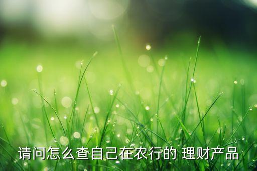 請(qǐng)問怎么查自己在農(nóng)行的 理財(cái)產(chǎn)品
