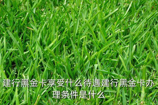 建設銀行信用卡黑卡