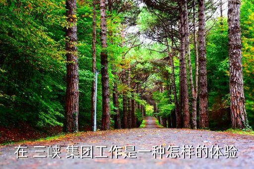 在 三峽 集團(tuán)工作是一種怎樣的體驗(yàn)