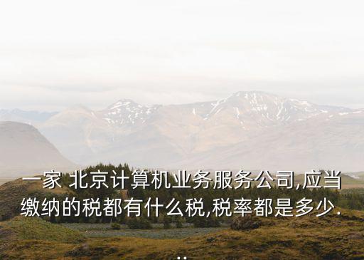 一家 北京計算機(jī)業(yè)務(wù)服務(wù)公司,應(yīng)當(dāng)繳納的稅都有什么稅,稅率都是多少...