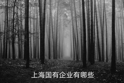  上海國(guó)有企業(yè)有哪些