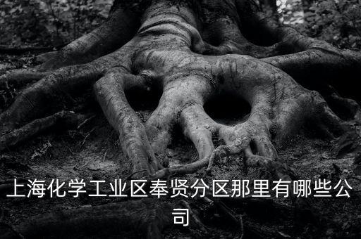 上海化學(xué)工業(yè)區(qū)奉賢分區(qū)那里有哪些公司