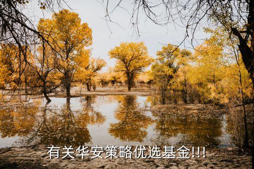 有關(guān)華安策略優(yōu)選基金!!!