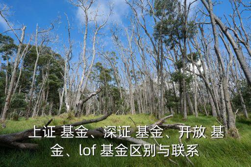  上證 基金、深證 基金、開放 基金、lof 基金區(qū)別與聯(lián)系