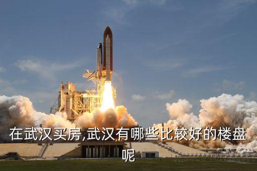 在武漢買(mǎi)房,武漢有哪些比較好的樓盤(pán)呢