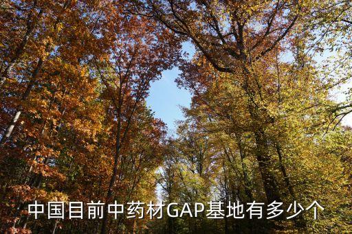 中國(guó)目前中藥材GAP基地有多少個(gè)