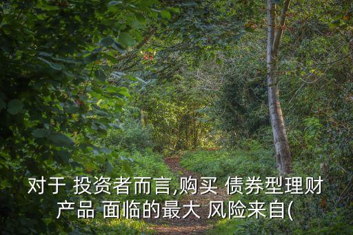 債券投資者所面臨的主要風(fēng)險是