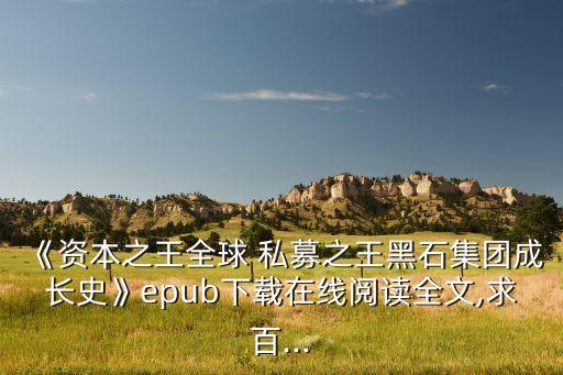 《資本之王全球 私募之王黑石集團(tuán)成長史》epub下載在線閱讀全文,求百...