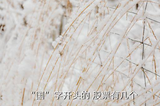 “國(guó)”字開(kāi)頭的 股票有幾個(gè)