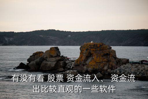 有沒(méi)有看 股票 資金流入、 資金流出比較直觀(guān)的一些軟件