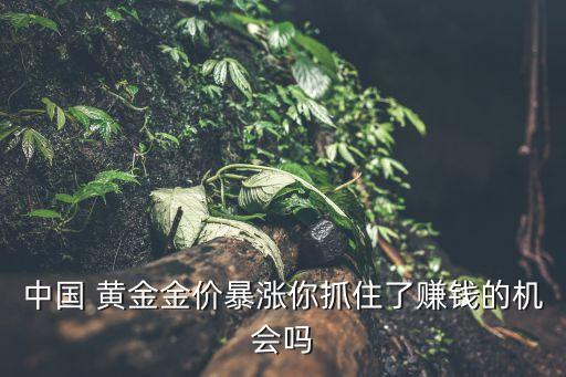 中國(guó) 黃金金價(jià)暴漲你抓住了賺錢的機(jī)會(huì)嗎