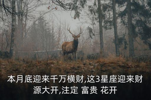 北京富貴花開(kāi)投資有限公司,廣水市富貴花開(kāi)接待培訓(xùn)有限公司
